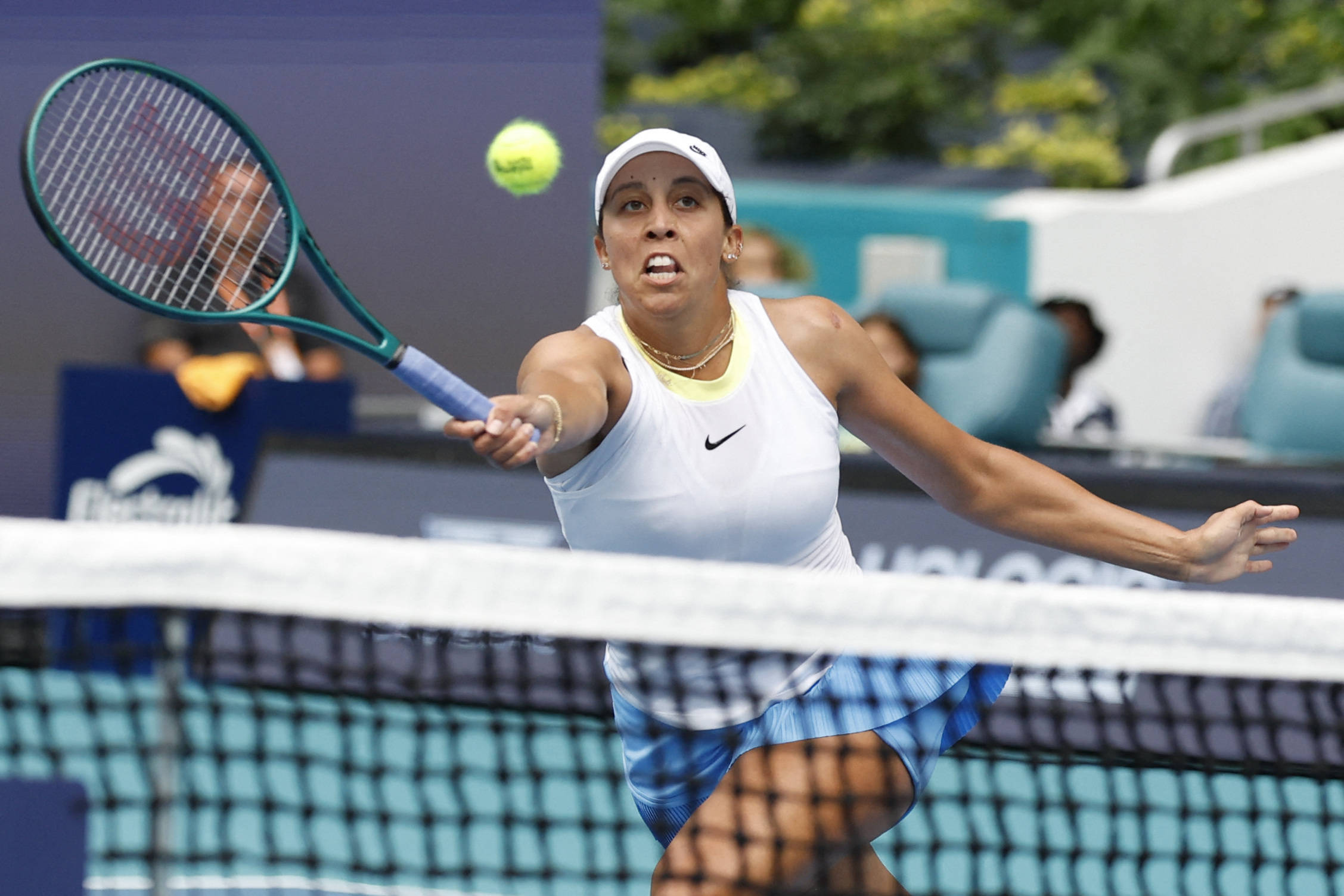 正是这些细 正是这些细