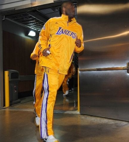 会在专业的 会在专业的