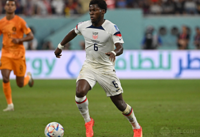 总体概率 总体概率